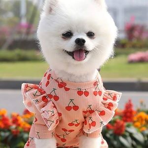 Meet your Posher, Lou